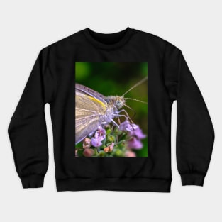 Cabbage White Butterfly, Macro Photograph Crewneck Sweatshirt